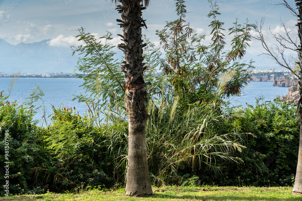 Fototapeta premium Touristic Antalya city Muratpaşa district, Lara road, public parks on the sea view cliffs.
