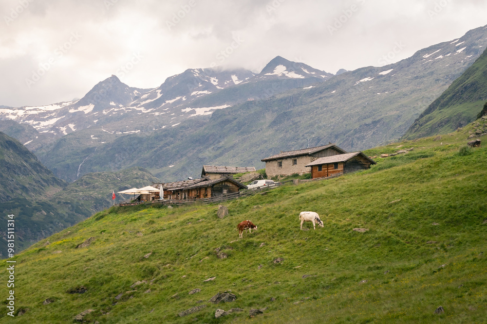 Fototapeta premium swiss alpine village