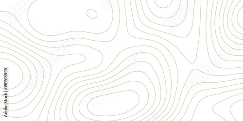 Abstract wave paper curved reliefs background .gradient multicolor wave curve lines banner background design .topographic contours map background .Vector geographic contour map.	