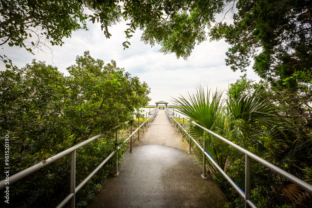 Walkway to the beach surrounds by lush trees in St. Simons Island, Georgia