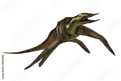 Atopodentatus Herbivorous Reptile - Atopodentatus was a herbivorous semi-aquatic marine reptile that lived in Triassic Seas of China. photo