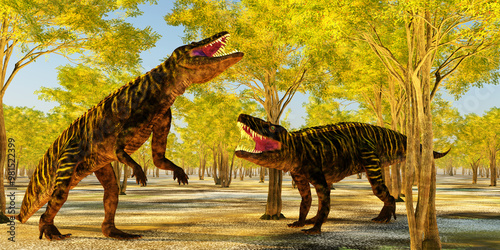 Batrachotomus fight over Territory - Batrachotomus was a carnivorous archosaur predator that lived in Germany during the Triassic Period. photo