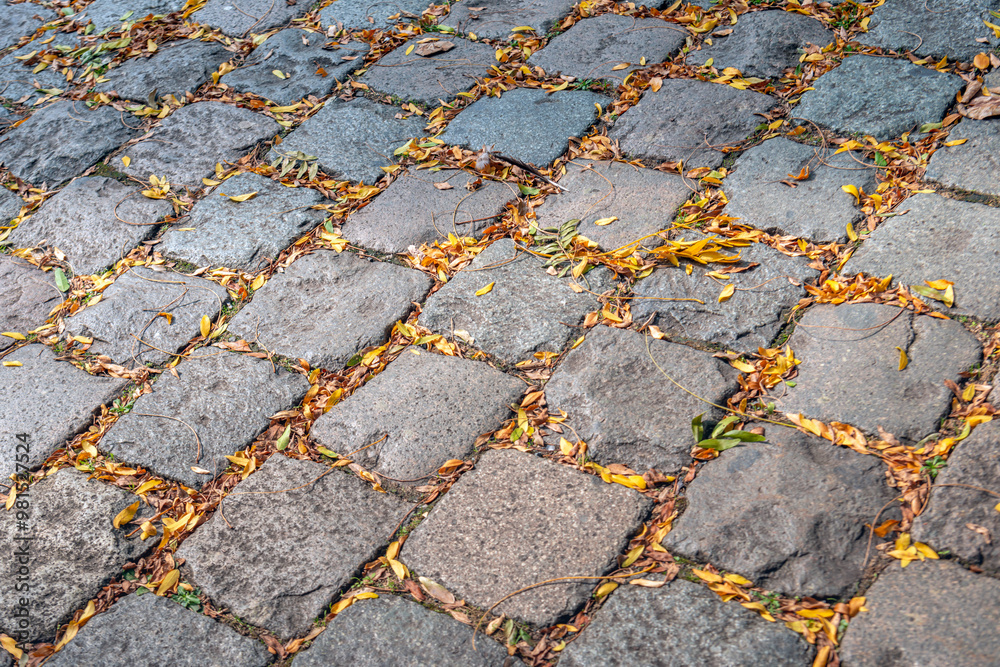 Closeup of small yellow fallen leaves on and between the cobblestones of the pavement.