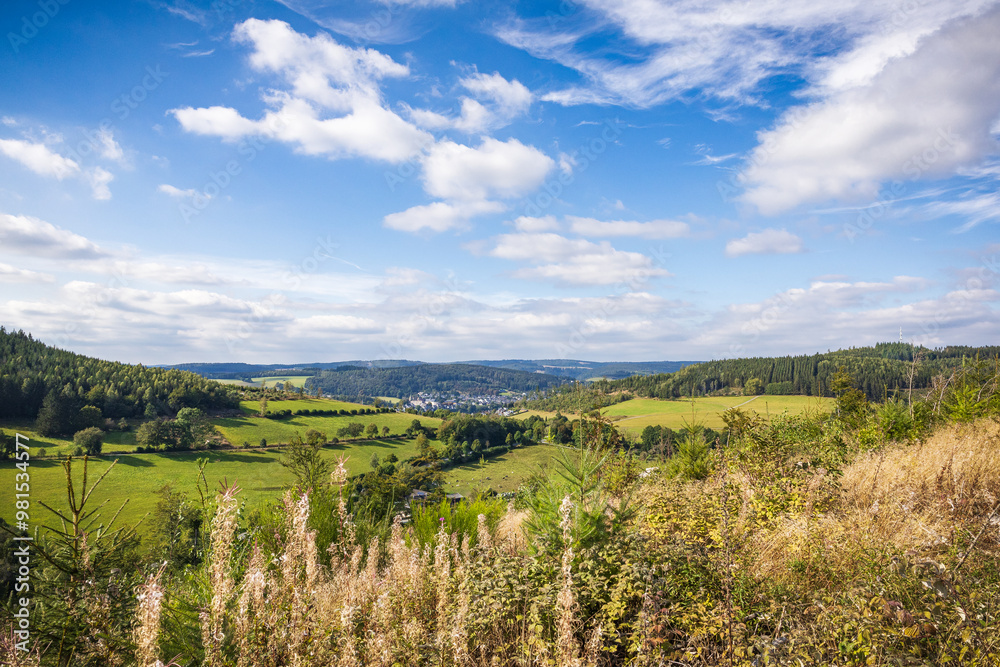 Naklejka premium Blick auf die Landschaft im Tal im Sommer