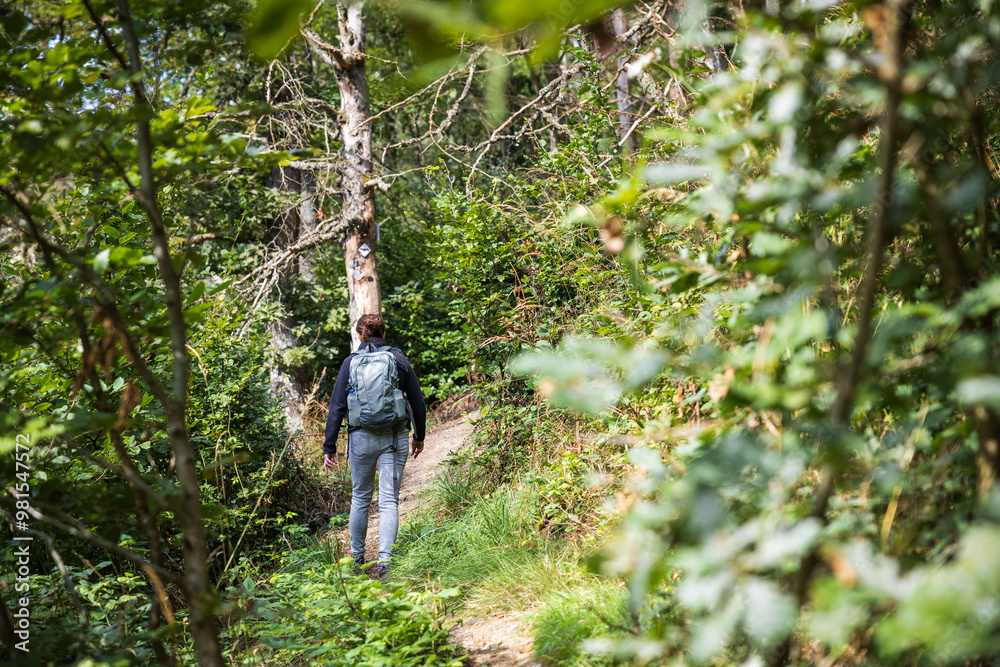Frau mit Rucksack wandert alleine durch den Wald Frau mit Rucksack wandert alleine durch den Wald