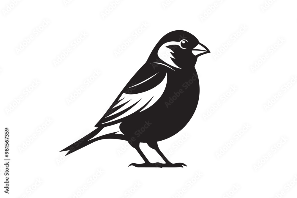 Common Sparrow silhouette vector illustration, Common Sparrow silhouette PNG, Common Sparrow silhouette vector .