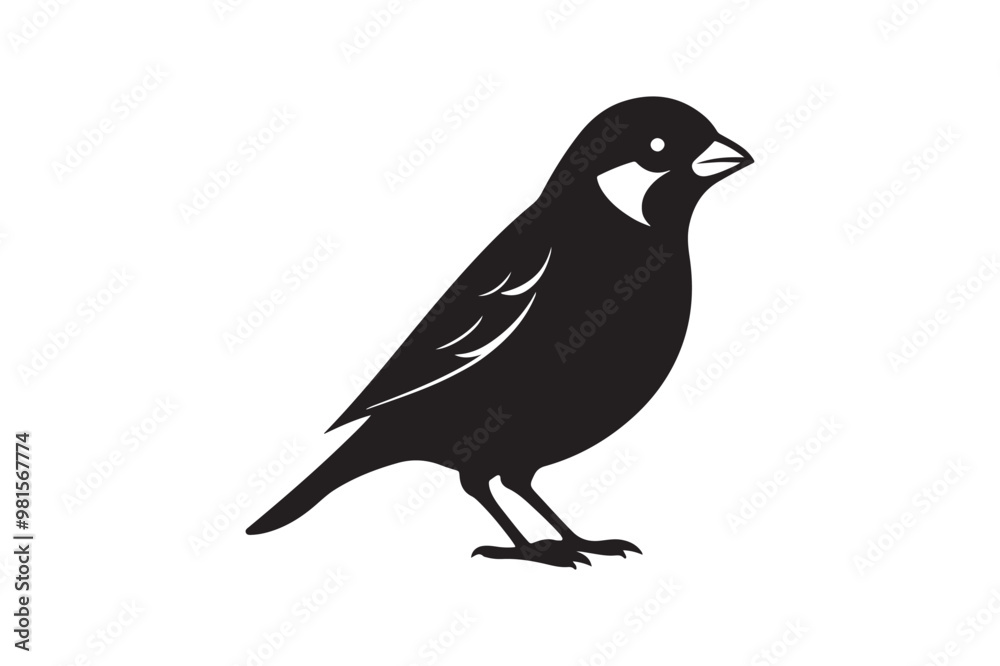 Common Sparrow silhouette vector illustration, Common Sparrow silhouette PNG, Common Sparrow silhouette vector . Common Sparrow silhouette vector illustration, Common Sparrow silhouette PNG, Common Sparrow silhouette vector .