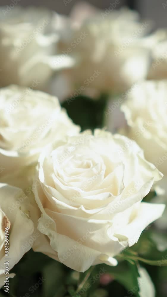 A beautiful bouquet of white roses stands near the window of the house. A romantic gift for a girl on a holiday. Floristry A beautiful bouquet of white roses stands near the window of the house. A romantic gift for a girl on a holiday. Floristry