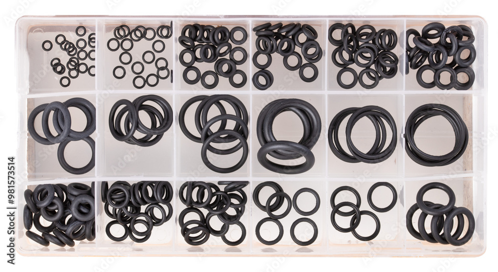 Seals, rubber O-rings of various diameters in a plastic container. Seals, rubber O-rings of various diameters in a plastic container.
