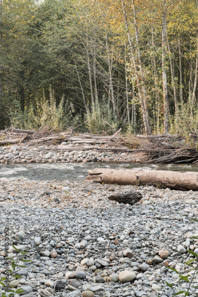 Chilliwack River during a summer season in Chilliwack, British Columbia, Canada Chilliwack River during a summer season in Chilliwack, British Columbia, Canada