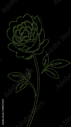 flower with green leaves on black background. Vector illustration.