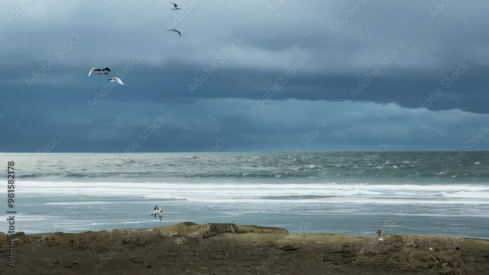 Waves Crashing on Shore Under Cloudy Sky With Seagulls Soaring Above Coastal Scene Capturing the Power and Beauty of Nature Waves Crashing on Shore Under Cloudy Sky With Seagulls Soaring Above Coastal Scene Capturing the Power and Beauty of Nature