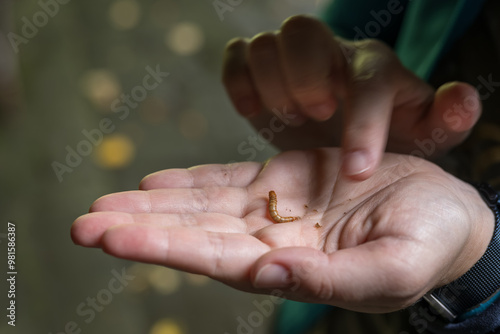 A woman holds a mealworm in her palm. 