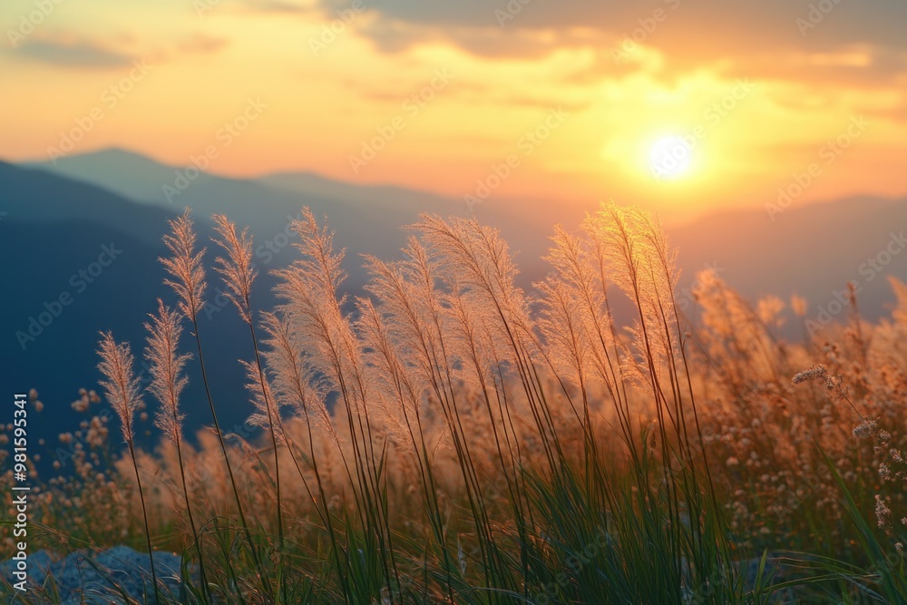 Fototapeta premium Soft Focus Mountain Grass at Sunset, Blowing in the Wind with a Blurred Backdrop – Nature’s Beauty