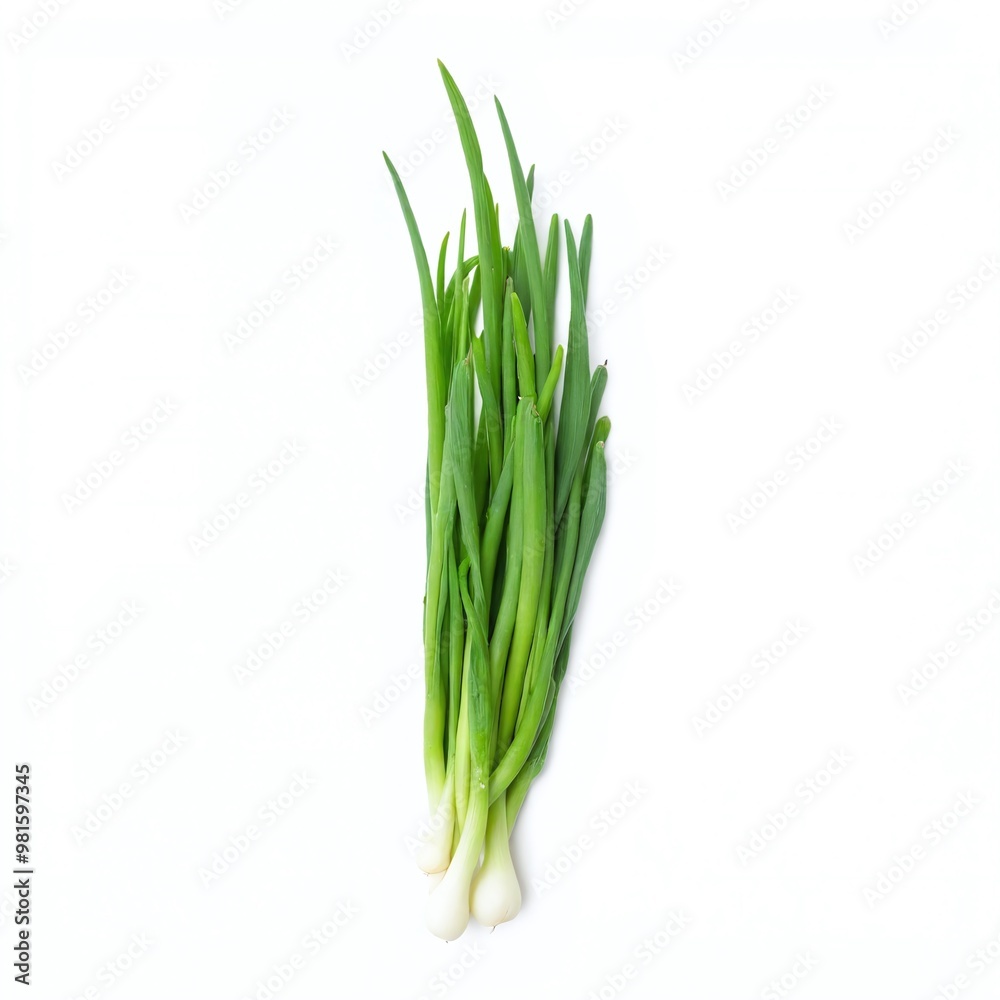 Fresh green onions arranged on a white background showcasing their vibrant color and crisp texture after harvest Fresh green onions arranged on a white background showcasing their vibrant color and crisp texture after harvest