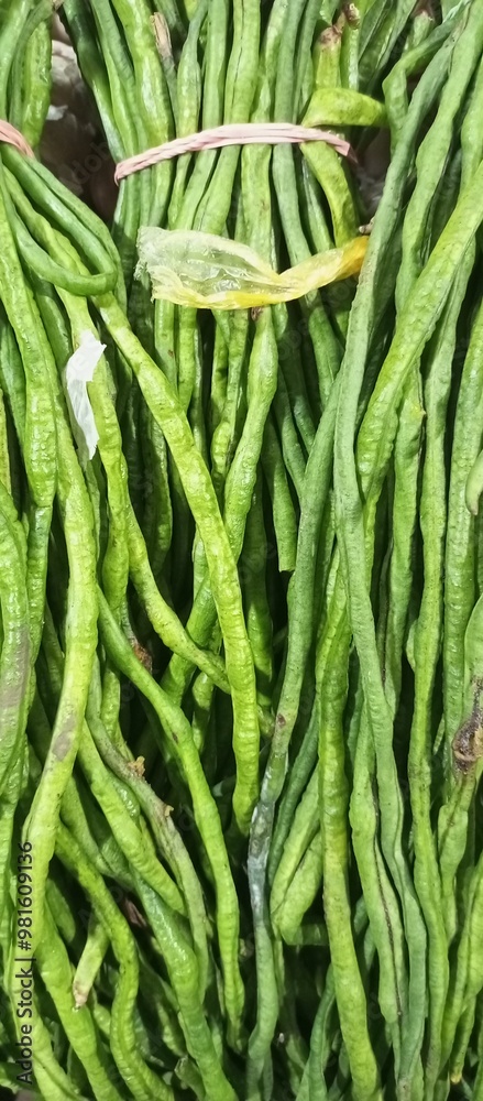 green long beans at traditional market green long beans at traditional market