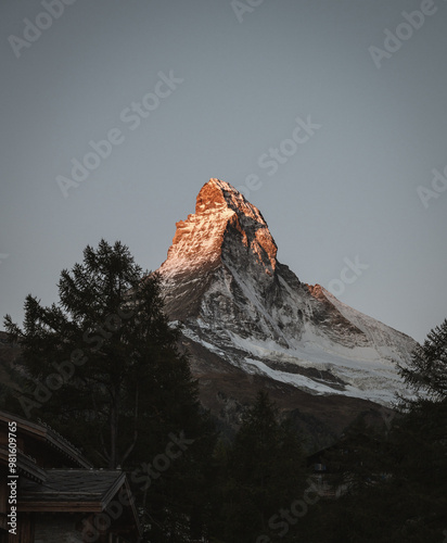 European Nature