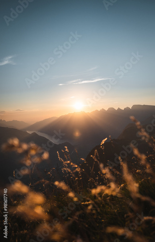 European Nature