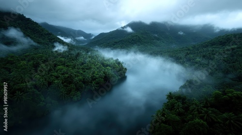 This stunning aerial image shows a misty river winding through a lush green forest, capturing the tranquility and expansive beauty of nature from above.