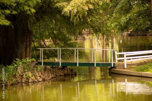 Ponte sobre lago em meio a árvores dentro da Mata Atlântica Brasileira. 