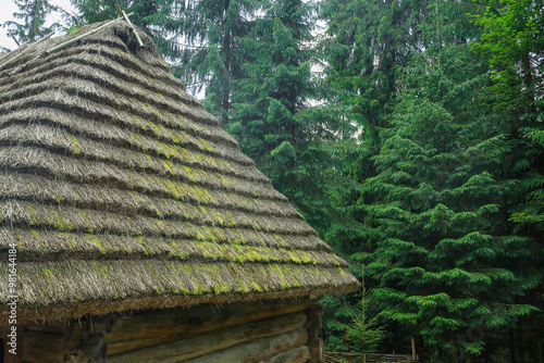 Old wooden house with thatc...