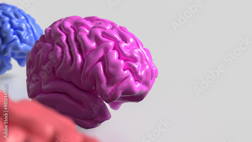 Obraz na płótnie The Multi color Brain on white Background  3d rendering.