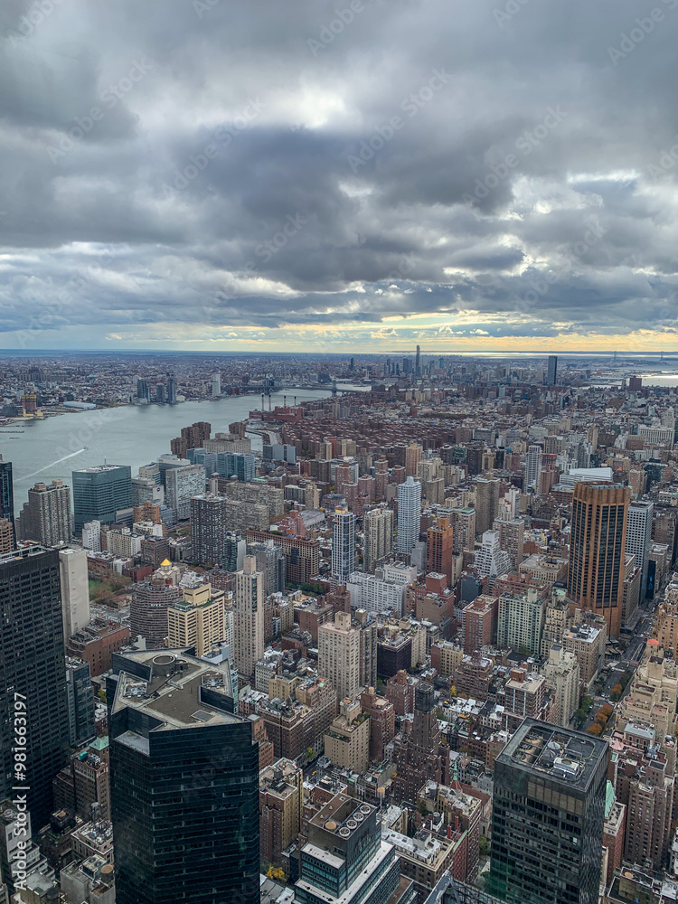Fototapeta premium East Side and Brooklyn view from skyscaper