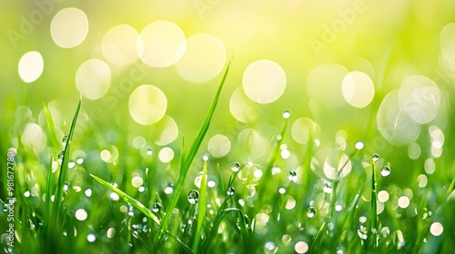Dewdrops on Lush Green Grass Blades with a Soft Blurred Background