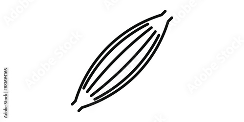 Muscle, body part flat line vector icon. Illustration isolated on white background.