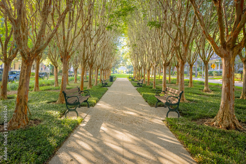 Obraz premium Trail in the park