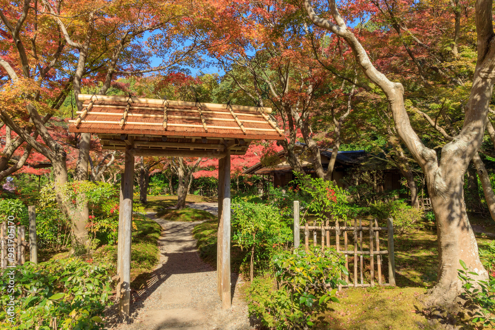 紅葉が迎えてくれる秋の茶室