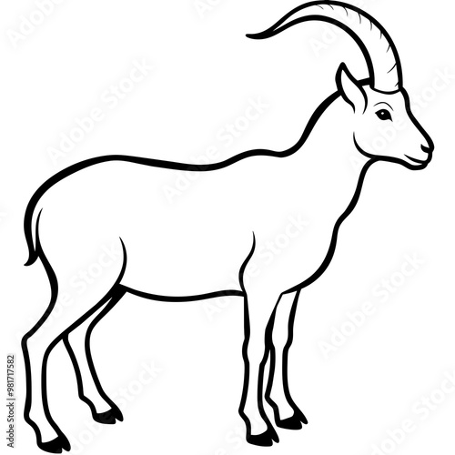 goat isolated on white