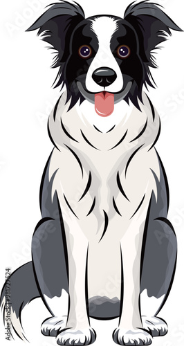 border collie Illustration 犬｜ボーダー・コリー｜イラスト