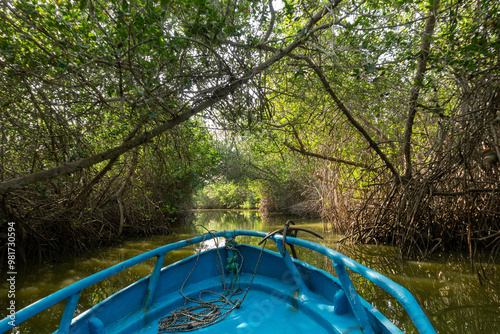 bridge in the woods Manglares Tumbes  Perú