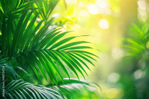 Blur background of dense tropical jungle with palm trees.