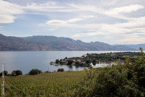 Vineyards on the shores of Okanagan Lake. Quails' Gate Winery of Kelowna, British Columbia, Canada.	 photo