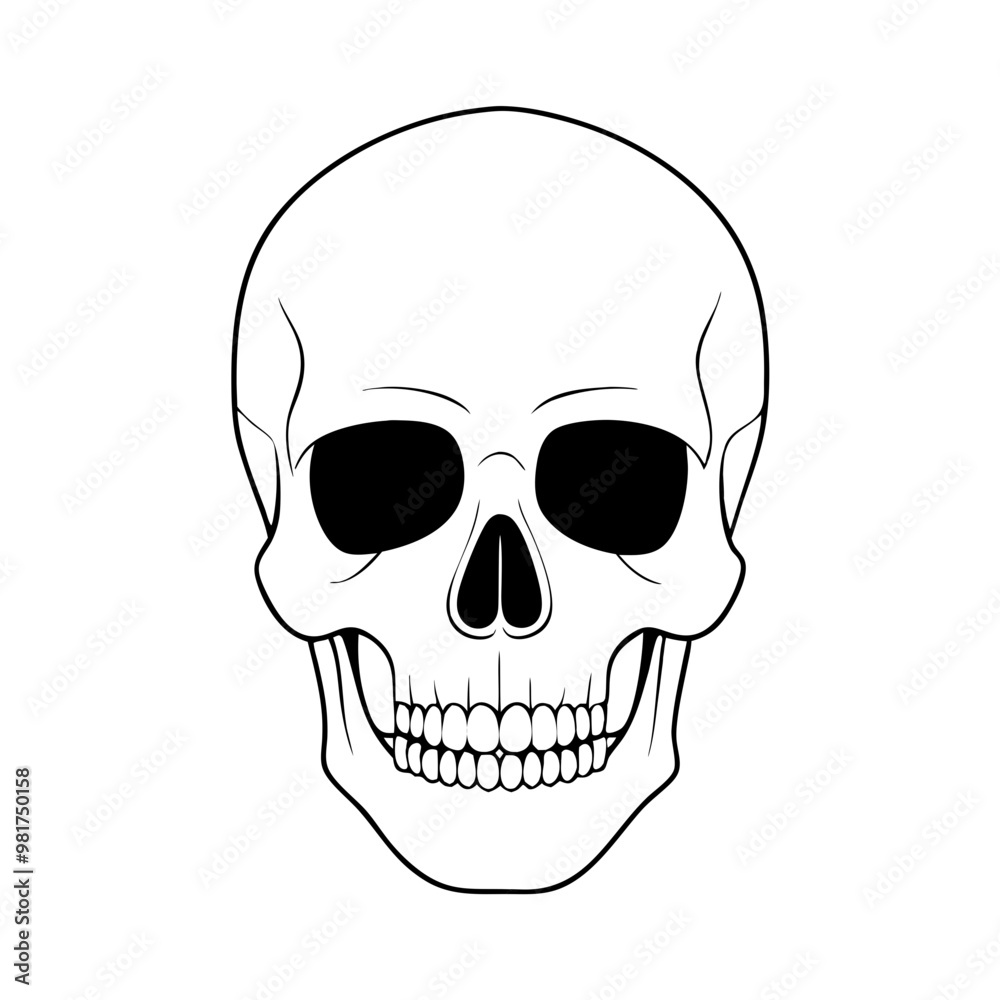 Black and white human skull, Halloween decor
Black and white human skull, Halloween decor