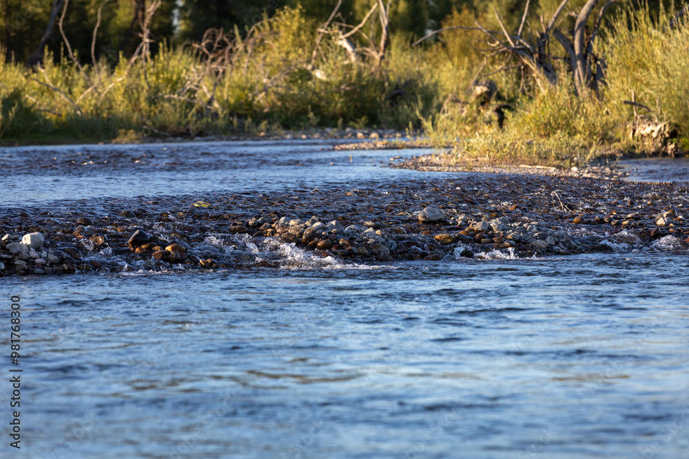 Photograph Water flowing over river rocks on the shoreline of the snake river in the Grand Tetons national park.