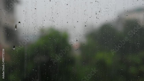 a raindrops on a window with a tree in the background.