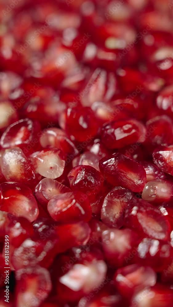 close up of pomegranate seeds texture background. close up of pomegranate seeds texture background.