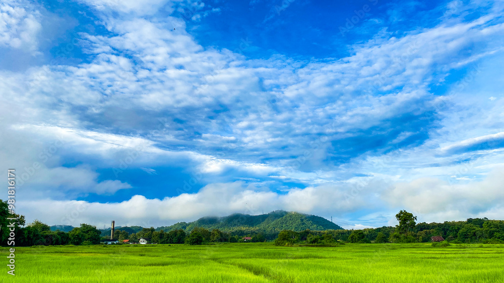 A beautiful green field under a blue sky with scattered clouds in a peaceful countryside landscape A beautiful green field under a blue sky with scattered clouds in a peaceful countryside landscape