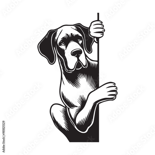 Great Dane Dog Peeking Face Clipart -  Peeking Dog Vector illustration in black and white
