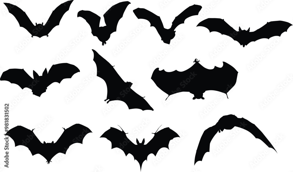 Naklejka premium Set of bat flying pose full body silhouette illustration