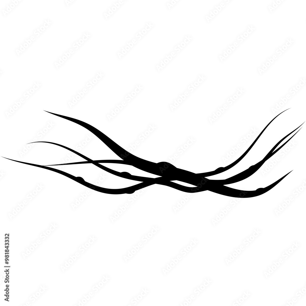 Dry Twisted Wild Vine Dry Twisted Wild Vine