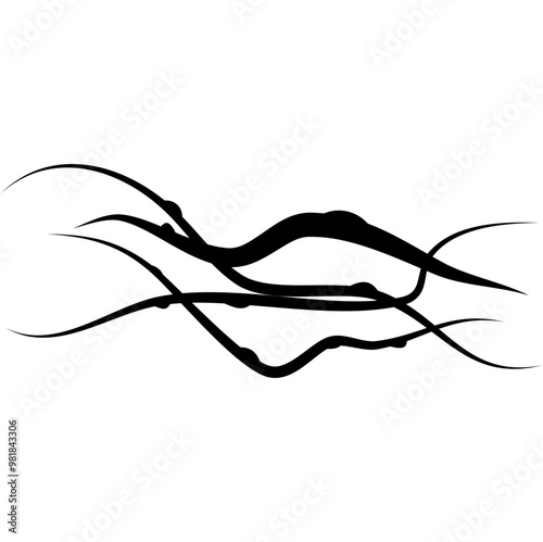 Dry Twisted Wild Vine