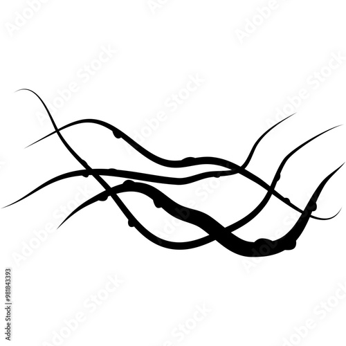 Dry Twisted Wild Vine