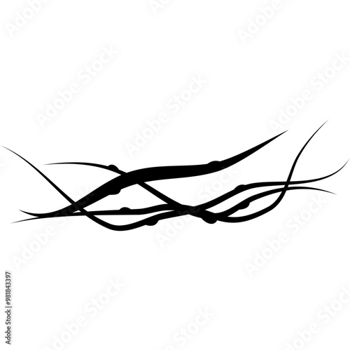 Dry Twisted Wild Vine