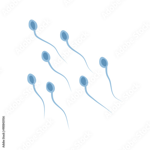 Spermatozoa