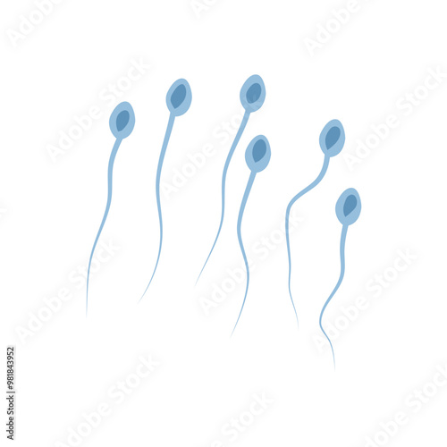 Spermatozoa