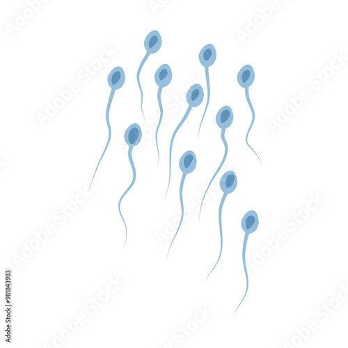 Spermatozoa